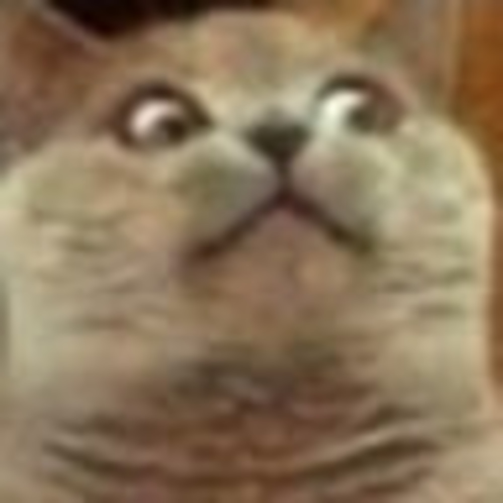 Meet your Posher, M.d.